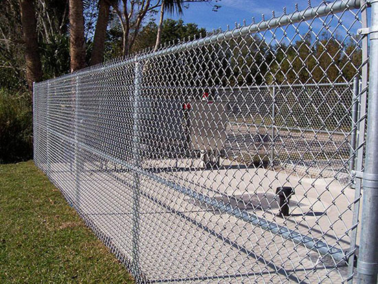 1629252186295300.jpg 2.jpg