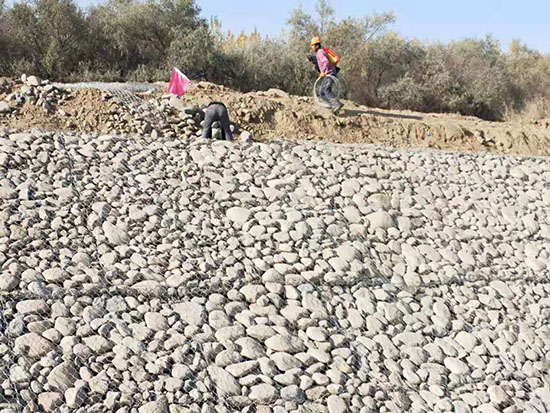 1629252480162798.jpg 微信圖片_20210421172433.jpg